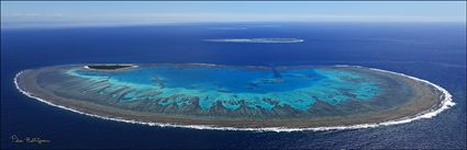 Lady Musgrave Island - QLD (PBH4 00 18358)